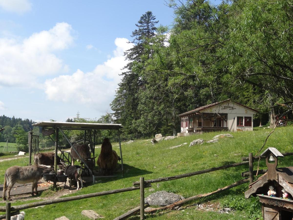La Cibourg, Centre De Vacances Renan Buitenkant foto